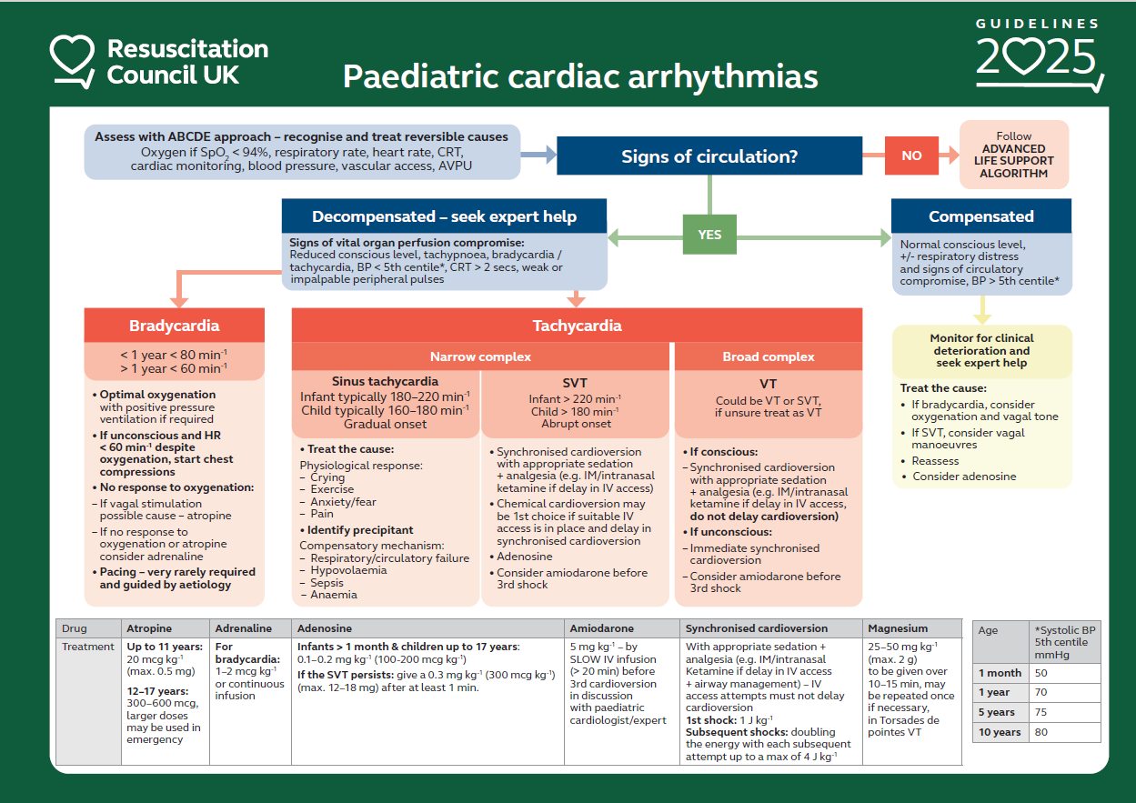 RCUK 2025 - Paediatric Cardiac Arrhythmias